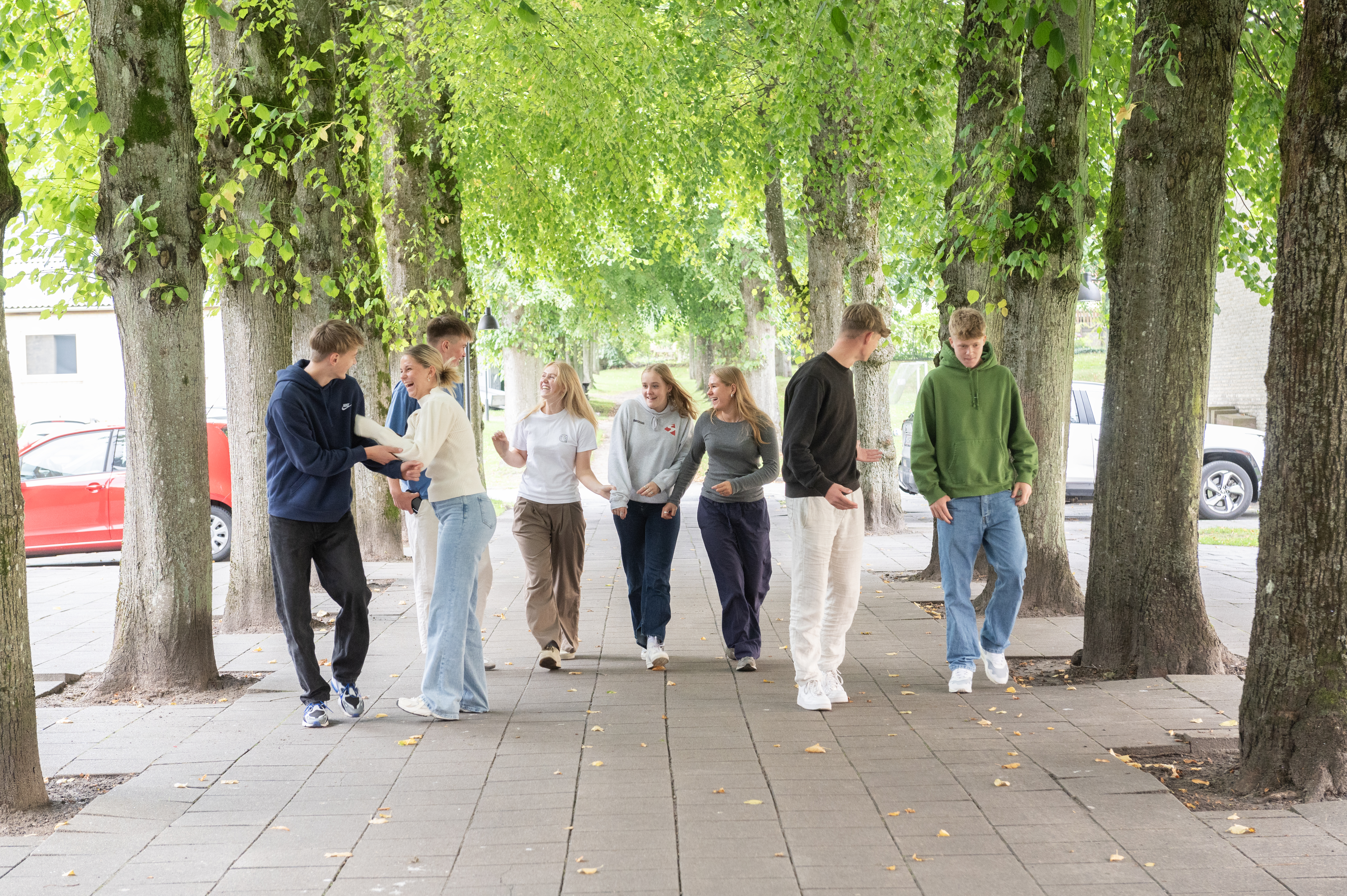 Vib Kat Aug 2023 7541