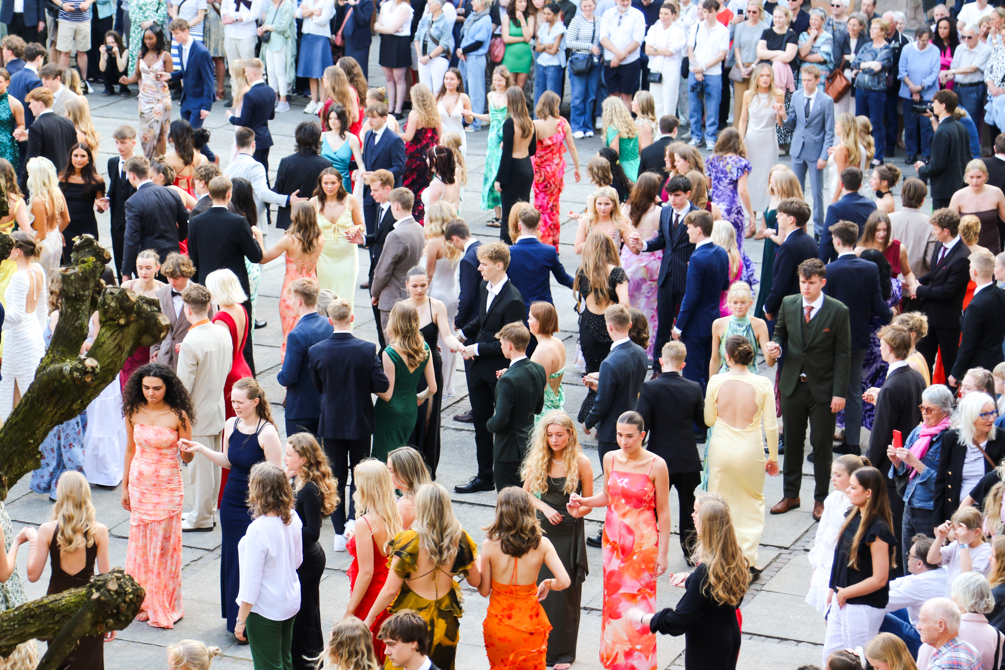 Videobillede Forside