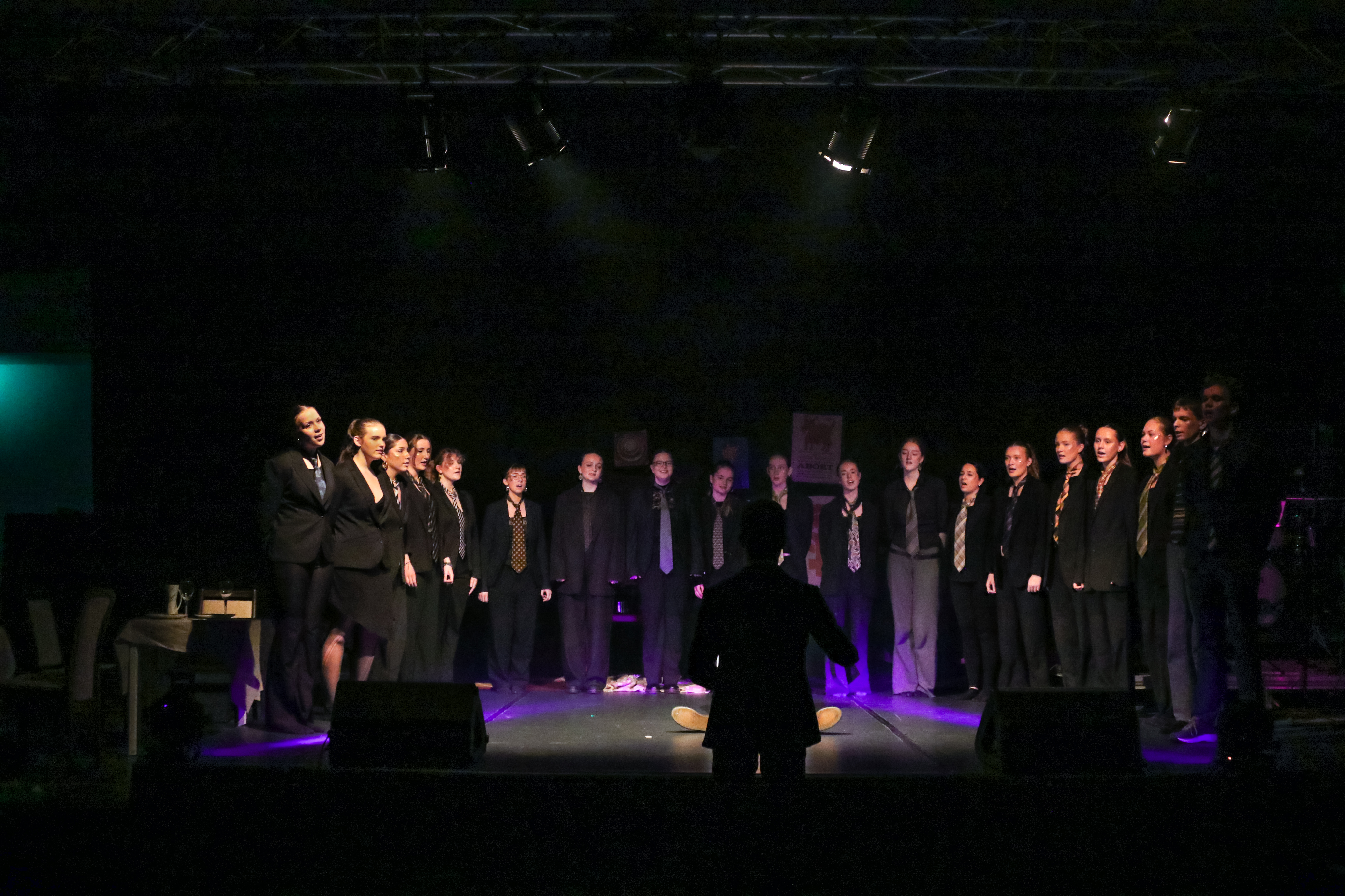 Musical Forestillinge 6 2 19 (1)